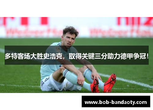 多特客场大胜史浩克，取得关键三分助力德甲争冠！
