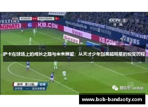 萨卡在球场上的成长之路与未来展望：从天才少年到英超明星的蜕变历程